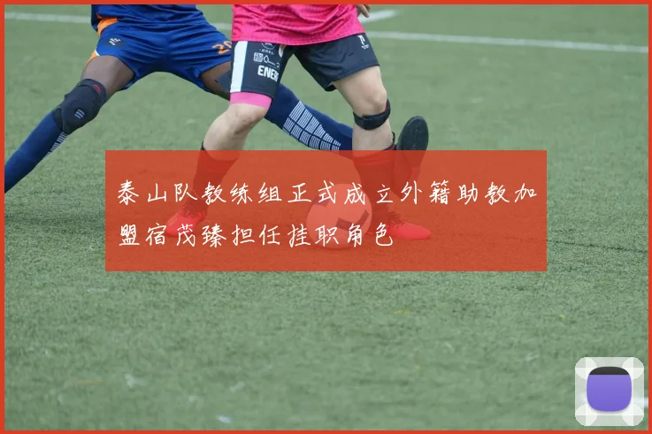 泰山队教练组正式成立外籍助教加盟宿茂臻担任挂职角色