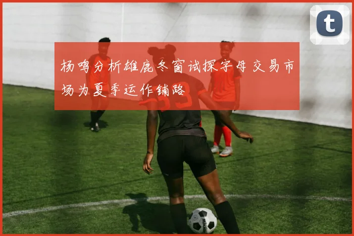 杨鸣分析雄鹿冬窗试探字母交易市场为夏季运作铺路